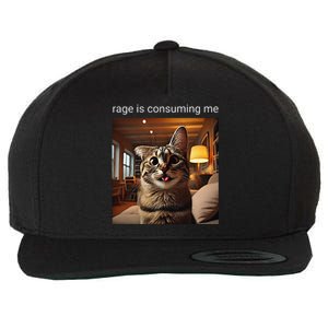 Funny Rage Is Consuming Me Silly Staring Cat Meme Wool Snapback Cap