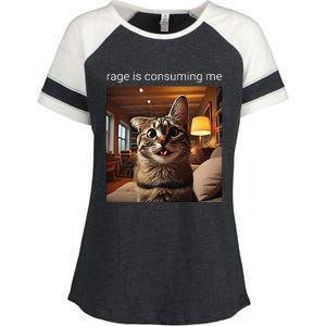 Funny Rage Is Consuming Me Silly Staring Cat Meme Enza Ladies Jersey Colorblock Tee