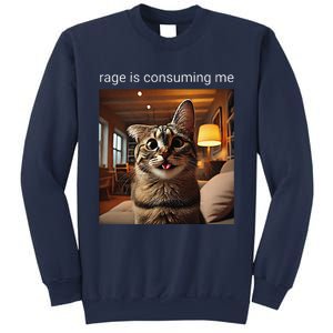 Funny Rage Is Consuming Me Silly Staring Cat Meme Sweatshirt