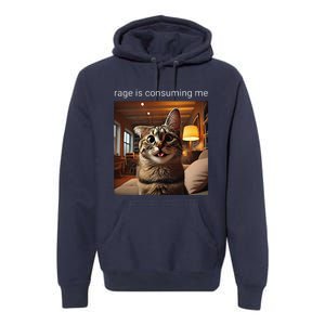 Funny Rage Is Consuming Me Silly Staring Cat Meme Premium Hoodie