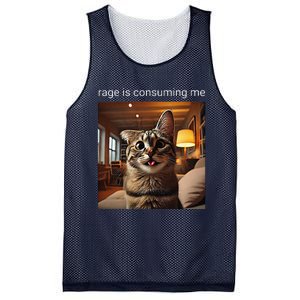 Funny Rage Is Consuming Me Silly Staring Cat Meme Mesh Reversible Basketball Jersey Tank