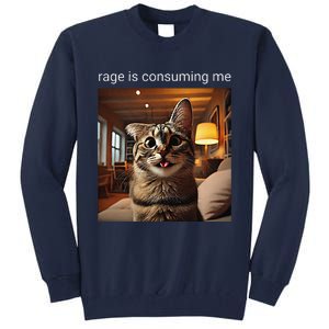 Funny Rage Is Consuming Me Silly Staring Cat Meme Tall Sweatshirt