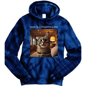 Funny Rage Is Consuming Me Silly Staring Cat Meme Tie Dye Hoodie