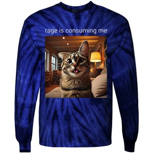 Funny Rage Is Consuming Me Silly Staring Cat Meme Tie-Dye Long Sleeve Shirt