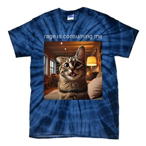 Funny Rage Is Consuming Me Silly Staring Cat Meme Tie-Dye T-Shirt