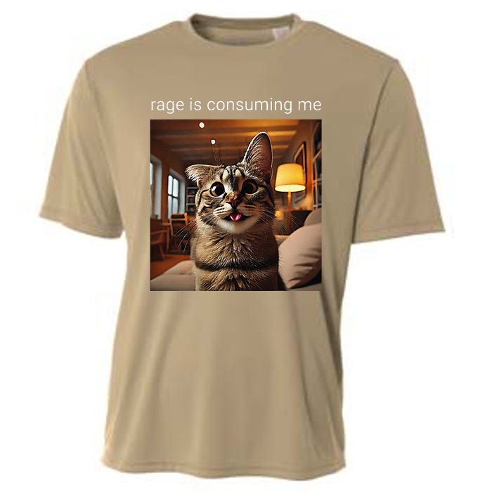 Funny Rage Is Consuming Me Silly Staring Cat Meme Cooling Performance Crew T-Shirt