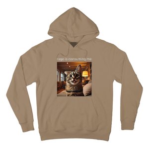 Funny Rage Is Consuming Me Silly Staring Cat Meme Hoodie