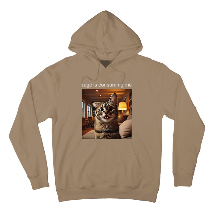 Funny Rage Is Consuming Me Silly Staring Cat Meme Hoodie