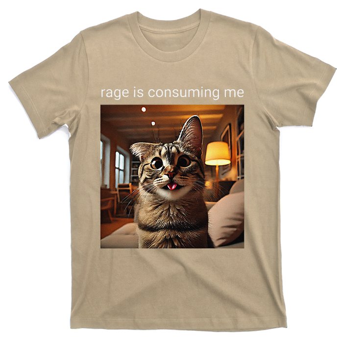 Funny Rage Is Consuming Me Silly Staring Cat Meme T-Shirt