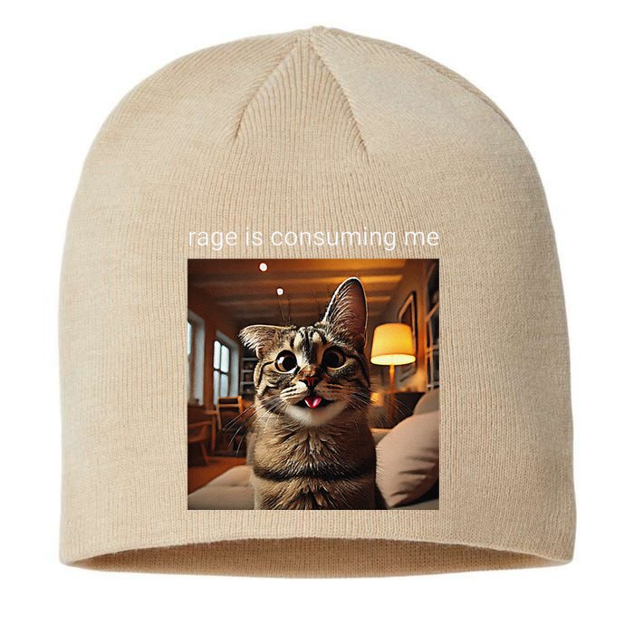 Funny Rage Is Consuming Me Silly Staring Cat Meme Sustainable Beanie