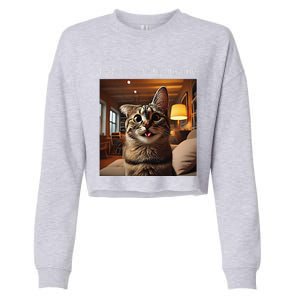 Funny Rage Is Consuming Me Silly Staring Cat Meme Cropped Pullover Crew