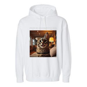 Funny Rage Is Consuming Me Silly Staring Cat Meme Garment-Dyed Fleece Hoodie