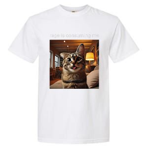 Funny Rage Is Consuming Me Silly Staring Cat Meme Garment-Dyed Heavyweight T-Shirt