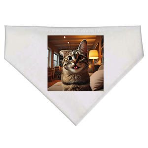 Funny Rage Is Consuming Me Silly Staring Cat Meme USA-Made Doggie Bandana