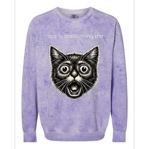 Funny Rage Is Consuming Me Silly Staring Cat Meme Colorblast Crewneck Sweatshirt