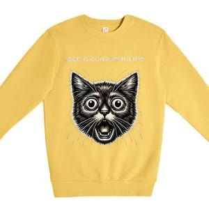 Funny Rage Is Consuming Me Silly Staring Cat Meme Premium Crewneck Sweatshirt