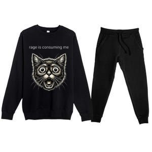 Funny Rage Is Consuming Me Silly Staring Cat Meme Premium Crewneck Sweatsuit Set