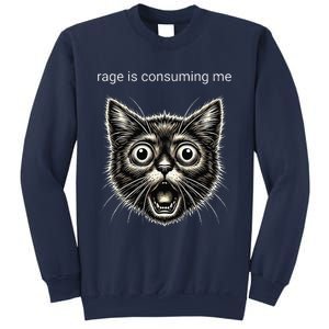 Funny Rage Is Consuming Me Silly Staring Cat Meme Sweatshirt