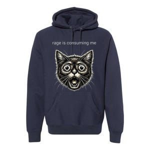 Funny Rage Is Consuming Me Silly Staring Cat Meme Premium Hoodie