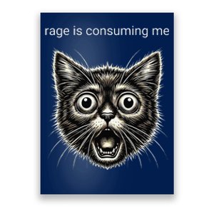 Funny Rage Is Consuming Me Silly Staring Cat Meme Poster