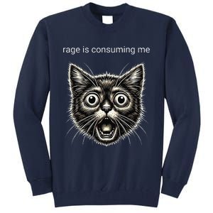 Funny Rage Is Consuming Me Silly Staring Cat Meme Tall Sweatshirt