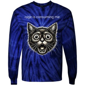 Funny Rage Is Consuming Me Silly Staring Cat Meme Tie-Dye Long Sleeve Shirt