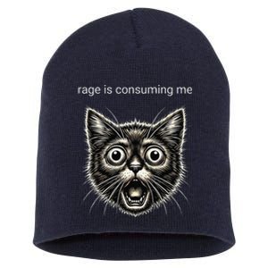 Funny Rage Is Consuming Me Silly Staring Cat Meme Short Acrylic Beanie