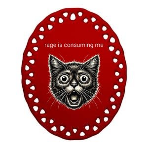 Funny Rage Is Consuming Me Silly Staring Cat Meme Ceramic Oval Ornament