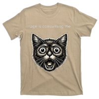 Funny Rage Is Consuming Me Silly Staring Cat Meme T-Shirt