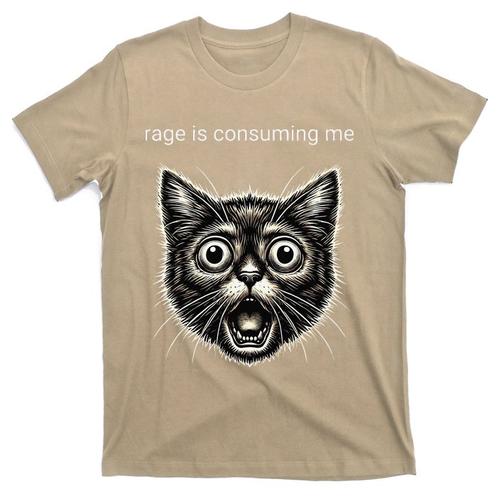 Funny Rage Is Consuming Me Silly Staring Cat Meme T-Shirt