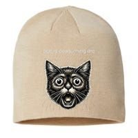 Funny Rage Is Consuming Me Silly Staring Cat Meme Sustainable Beanie