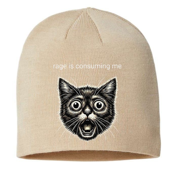 Funny Rage Is Consuming Me Silly Staring Cat Meme Sustainable Beanie