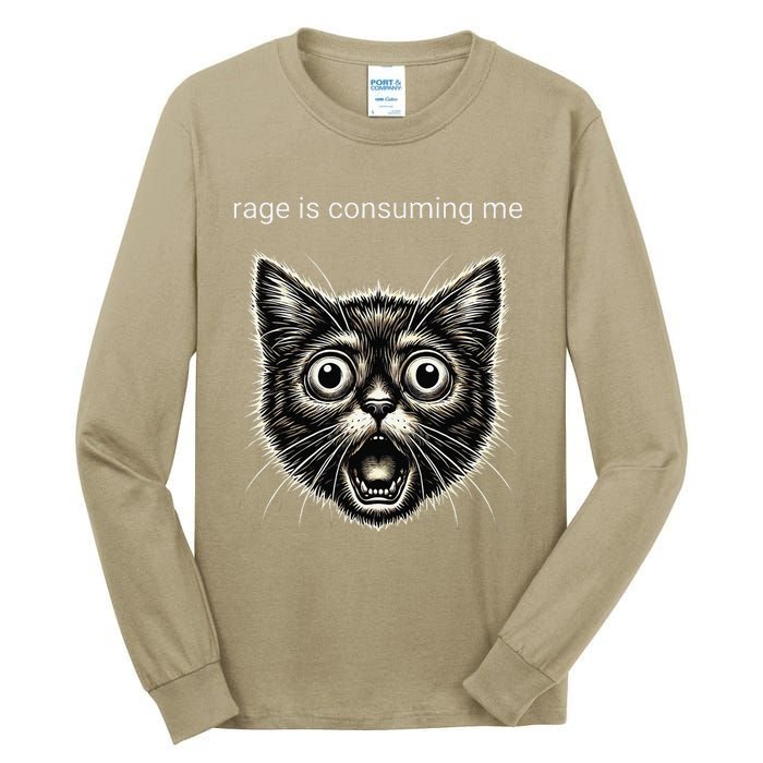 Funny Rage Is Consuming Me Silly Staring Cat Meme Tall Long Sleeve T-Shirt