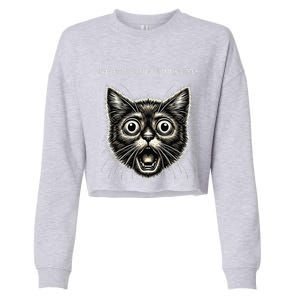 Funny Rage Is Consuming Me Silly Staring Cat Meme Cropped Pullover Crew