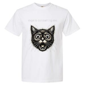 Funny Rage Is Consuming Me Silly Staring Cat Meme Garment-Dyed Heavyweight T-Shirt