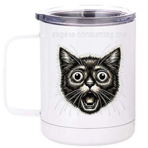 Funny Rage Is Consuming Me Silly Staring Cat Meme 12 oz Stainless Steel Tumbler Cup