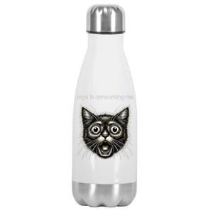 Funny Rage Is Consuming Me Silly Staring Cat Meme Stainless Steel Insulated Water Bottle