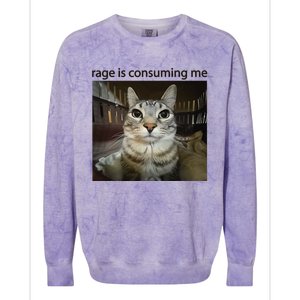 Funny Rage Is Consuming Me Silly Staring Cat Meme Colorblast Crewneck Sweatshirt