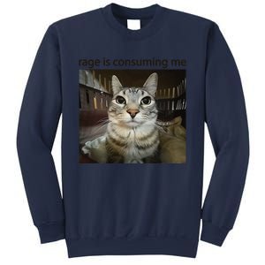 Funny Rage Is Consuming Me Silly Staring Cat Meme Sweatshirt