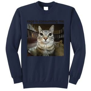 Funny Rage Is Consuming Me Silly Staring Cat Meme Tall Sweatshirt