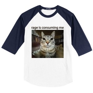 Funny Rage Is Consuming Me Silly Staring Cat Meme Baseball Sleeve Shirt