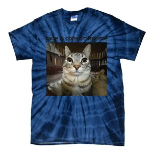 Funny Rage Is Consuming Me Silly Staring Cat Meme Tie-Dye T-Shirt