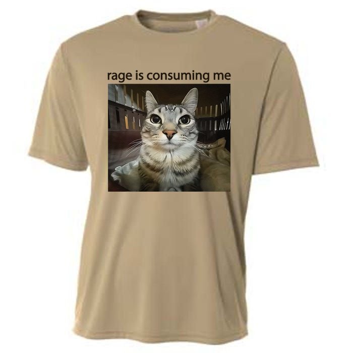 Funny Rage Is Consuming Me Silly Staring Cat Meme Cooling Performance Crew T-Shirt