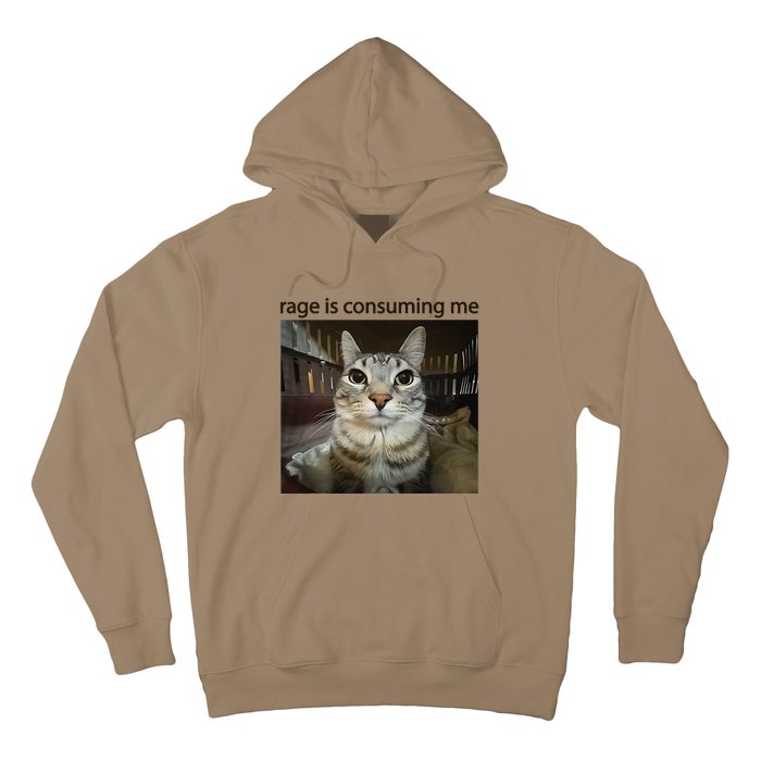 Funny Rage Is Consuming Me Silly Staring Cat Meme Hoodie