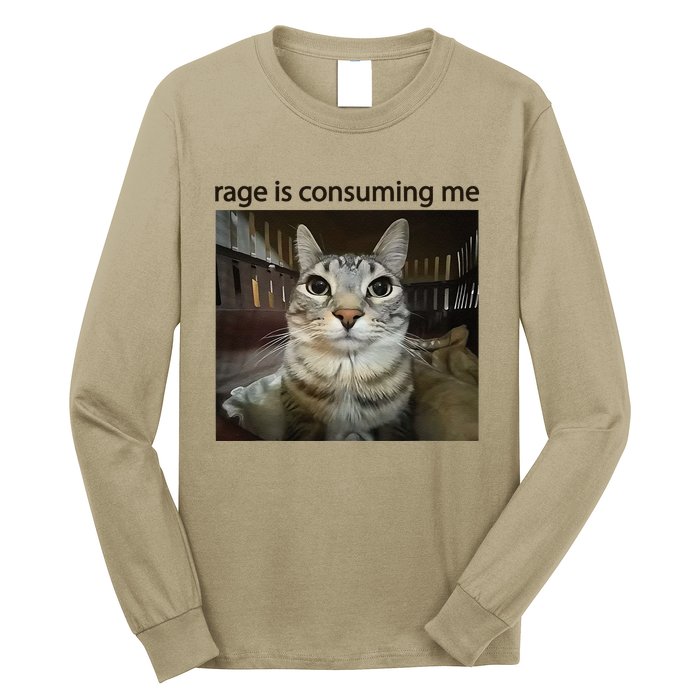 Funny Rage Is Consuming Me Silly Staring Cat Meme Long Sleeve Shirt