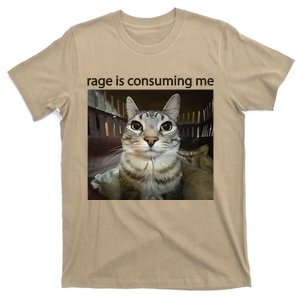 Funny Rage Is Consuming Me Silly Staring Cat Meme T-Shirt