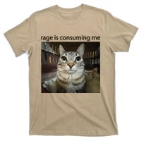 Funny Rage Is Consuming Me Silly Staring Cat Meme T-Shirt