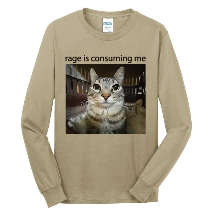 Funny Rage Is Consuming Me Silly Staring Cat Meme Tall Long Sleeve T-Shirt