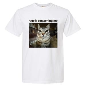 Funny Rage Is Consuming Me Silly Staring Cat Meme Garment-Dyed Heavyweight T-Shirt