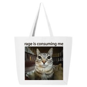 Funny Rage Is Consuming Me Silly Staring Cat Meme 25L Jumbo Tote